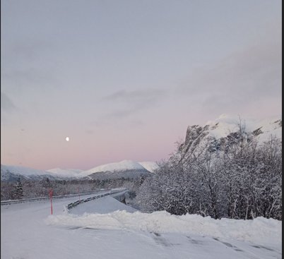 Frostbildet - hvit snø og rosa himmel og Røyelkampen stort fjell 